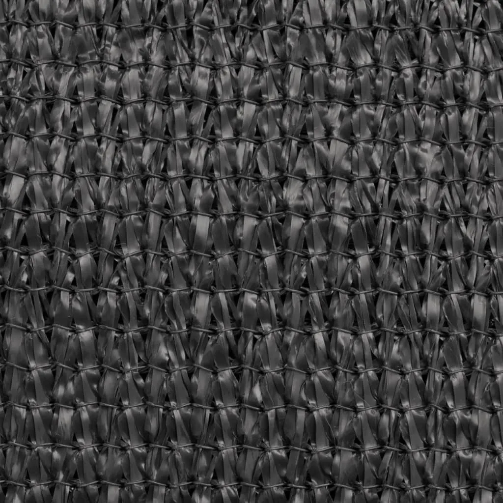 Balcony Screen HDPE 90x600 cm Anthracite