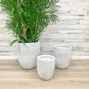 Fiberclay Mixed Stripe Planter - White - 17-inch