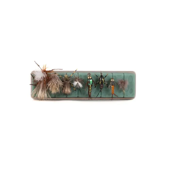 Tacky Fly Dock