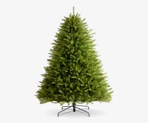 The Evergreen Christmas Tree